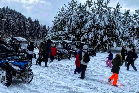 Brașov: Carpathian Mountains Off-Road Buggy or ATV Tour