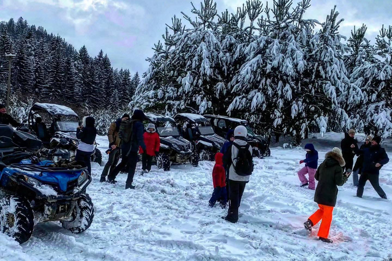 Brașov: Carpathian Mountains Off-Road Buggy or ATV Tour