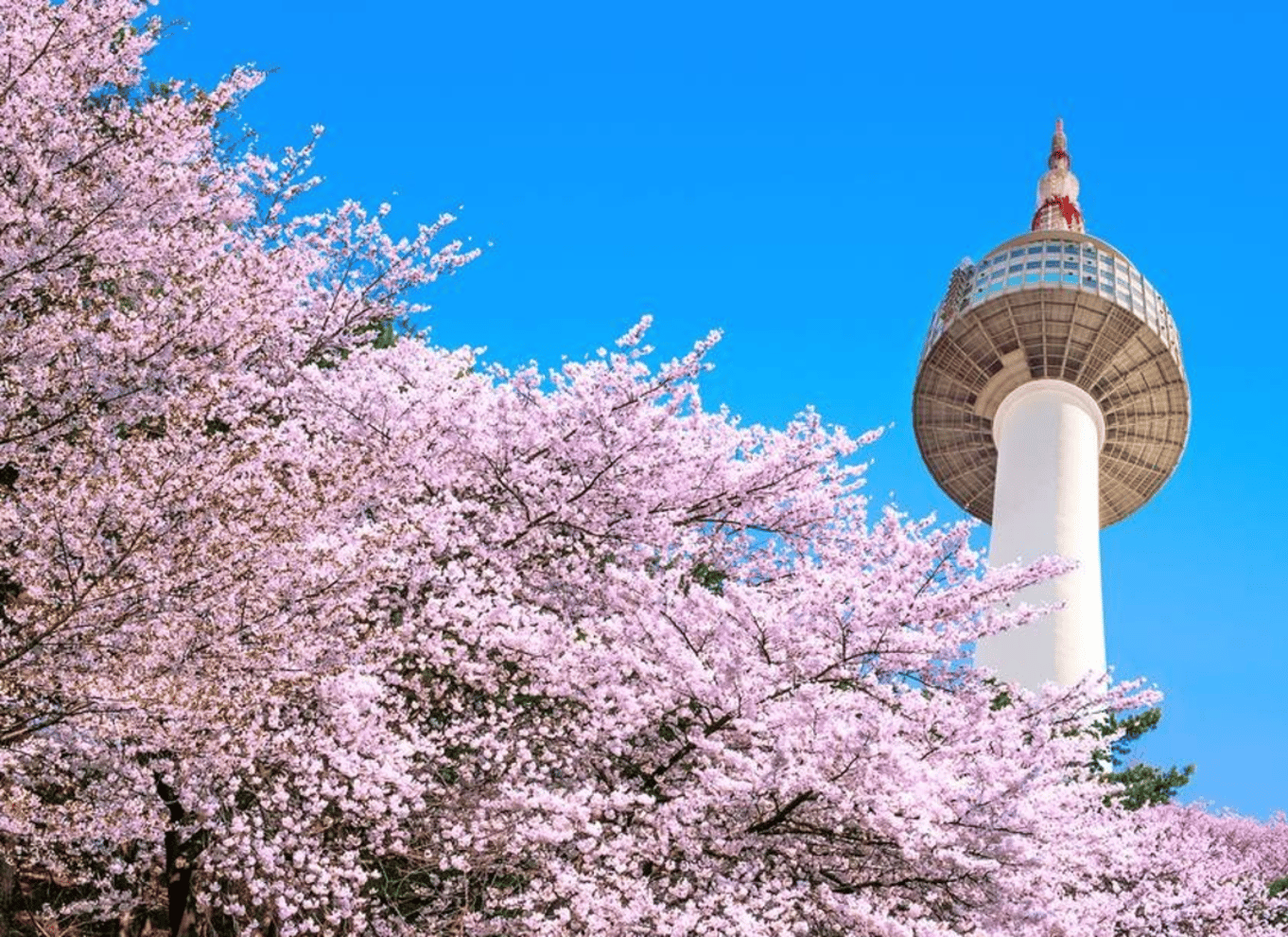 Seoul: Billet til N Seoul Tower-observatoriet