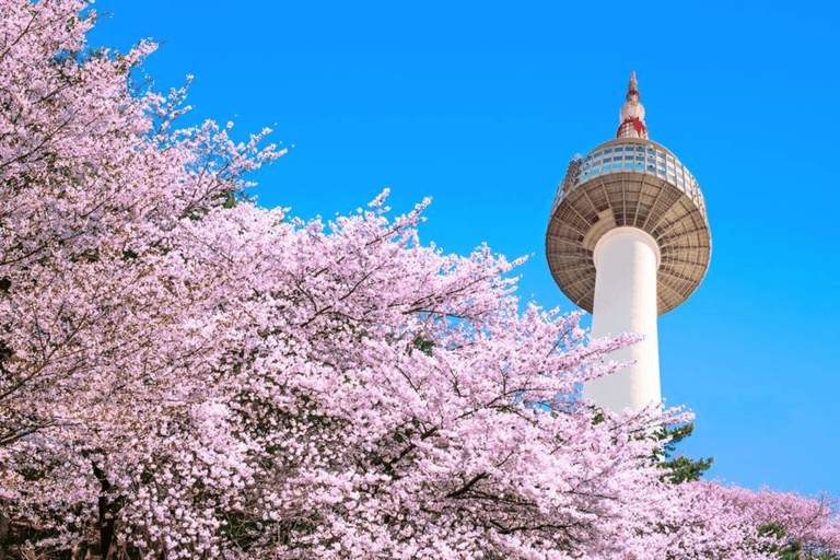 Seoul: N Seoul Tower Observatory Ticket