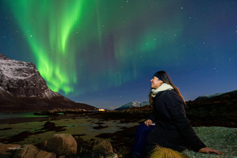 Tromsø | The OFFICIAL Northern Lights Safari Company