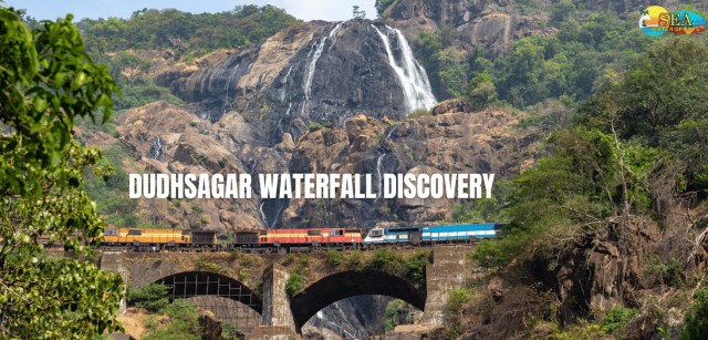 Visit Calangute Mollem National Park Tour with Dudhsagar Falls in North Goa