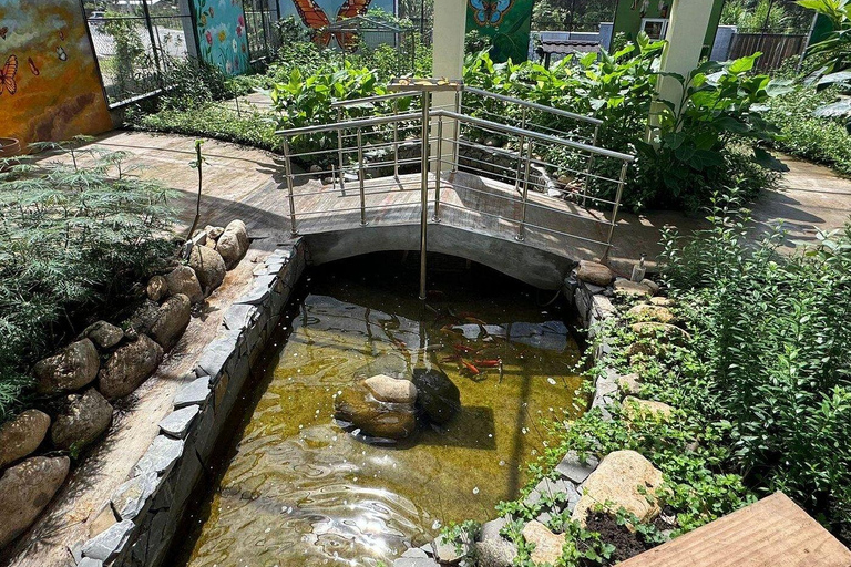 Puerto Plata: stadstour met vlindertuin