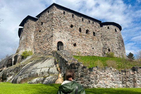 Da Helsinki: Rovine del castello di Raasepori e centro storico di Ekenäs