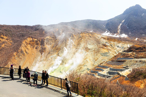 Tokyo : Excursion d'une journée autour du Mont Fuji, du lac Ashi, d'Owakudani et des OnsenPoint de rencontre à la gare JR de Tokyo 8h00