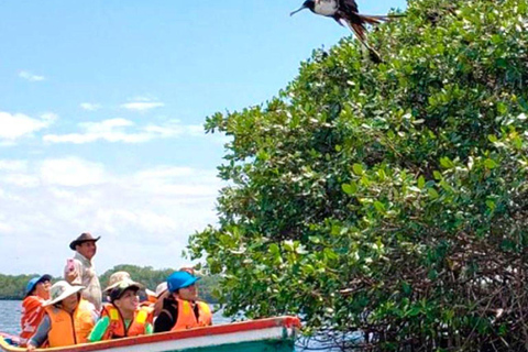Mangrove Mysteries - Puerto Pizarro Tour