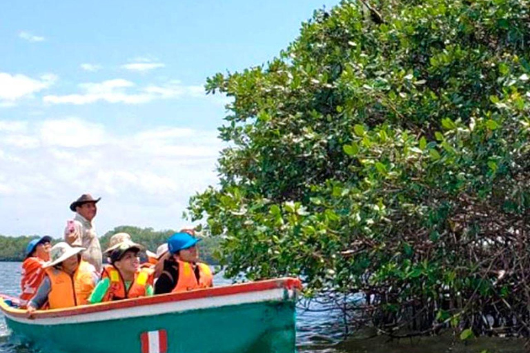 Mangrove Mysteries - Puerto Pizarro Tour