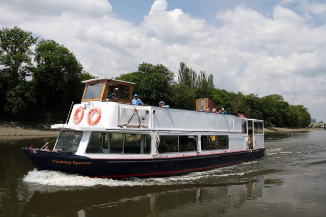 Visit London 45-Minute Richmond Circular Cruise in Londres