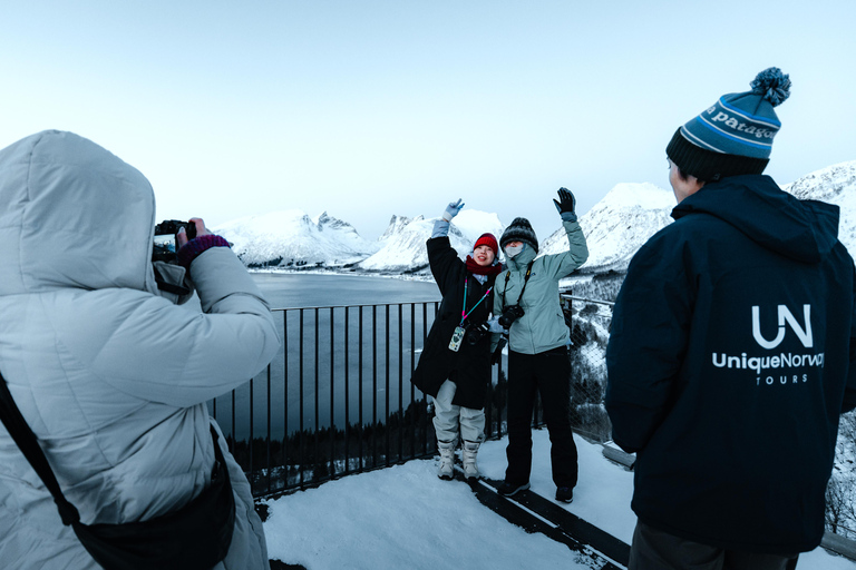 Tromsø: Senja Fjord & Landscape Tour in Chinese Small-Group