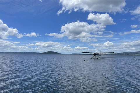 Rotorua: Isla Blanca, Monte Tarawera y Volcán Waimangu ...