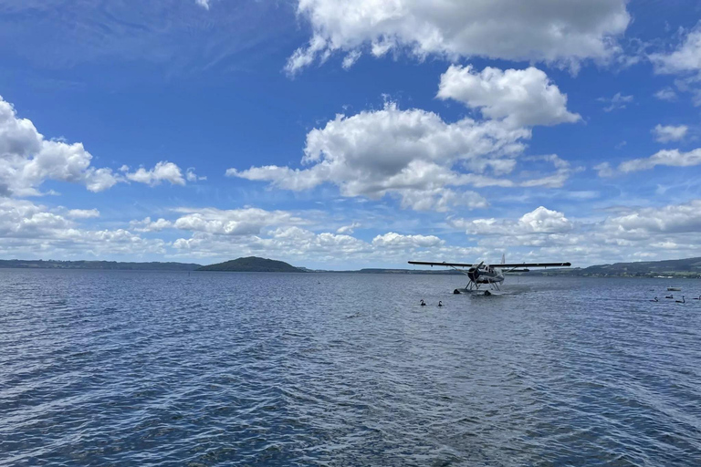 Rotorua: Isola Bianca, Monte Tarawera e Waimangu Volcanic ...