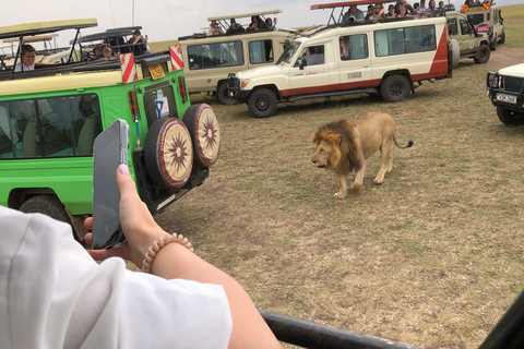 Viaggio di un giorno da Nairobi a Maasai Mara - AWNairobi: Escursione di un giorno nella Riserva Nazionale di Maasai Mara - Privato