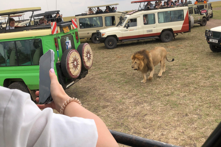Viaggio di un giorno da Nairobi a Maasai Mara - AWNairobi: Escursione di un giorno nella Riserva Nazionale di Maasai Mara - Privato