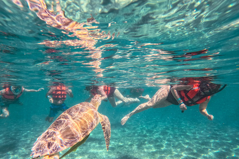 Cancun: Tulum Ruins, Akumal Turtles, Cenote & Caves Snorkel From Cancun