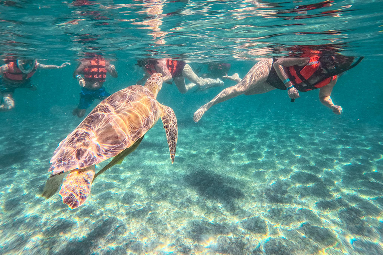 Cancun: Tulum Ruins, Akumal Turtles, Cenote & Caves Snorkel From Cancun