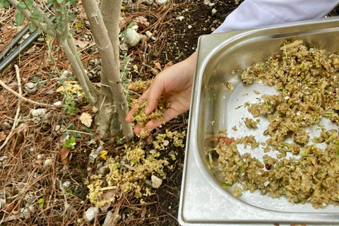 Fresh Garden Home Cooking with a Local Chef in Fethiye