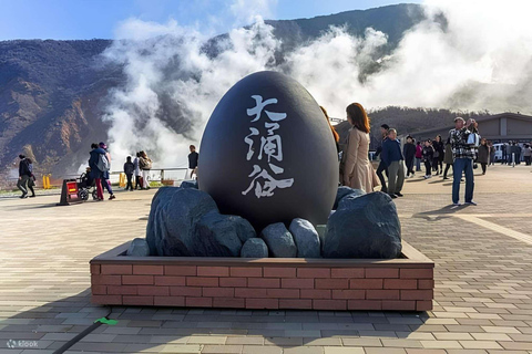 From Tokyo : Mount Fuji Private Day Trip with Hotel Pickup Mount Fuji & Hakone Customize Tour With English Guide