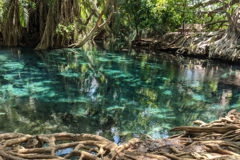 Arusha: Day Trip to Kikuletwa Hot Springs