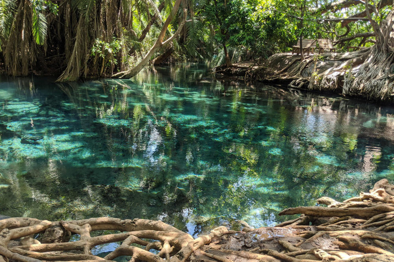 Arusha: Day Trip to Kikuletwa Hot Springs
