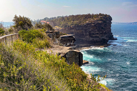 Private Sydney Beaches Escape Tour Private Group Tour