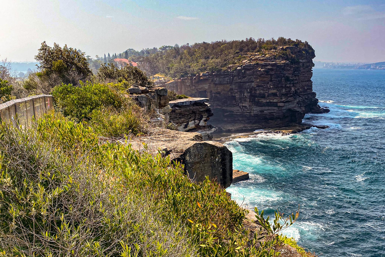 Private Sydney Beaches Escape Tour Private Group Tour