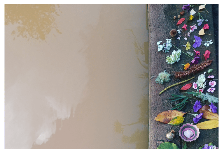 WateRose - Flytande meditation i varmt vatten