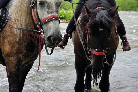 Zakopane: Tatra Mountains Horseback Ride & Thermal Baths