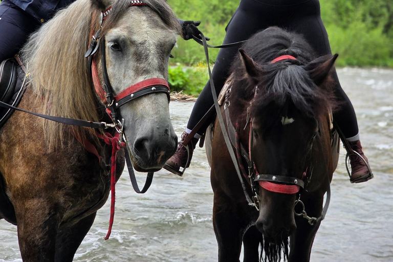 Zakopane: Tatra Mountains Horseback Ride & Thermal Baths