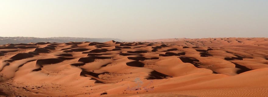 La magie de l'heure d'or : Circuit au coucher du soleil dans le désert de Rub' Al Khali