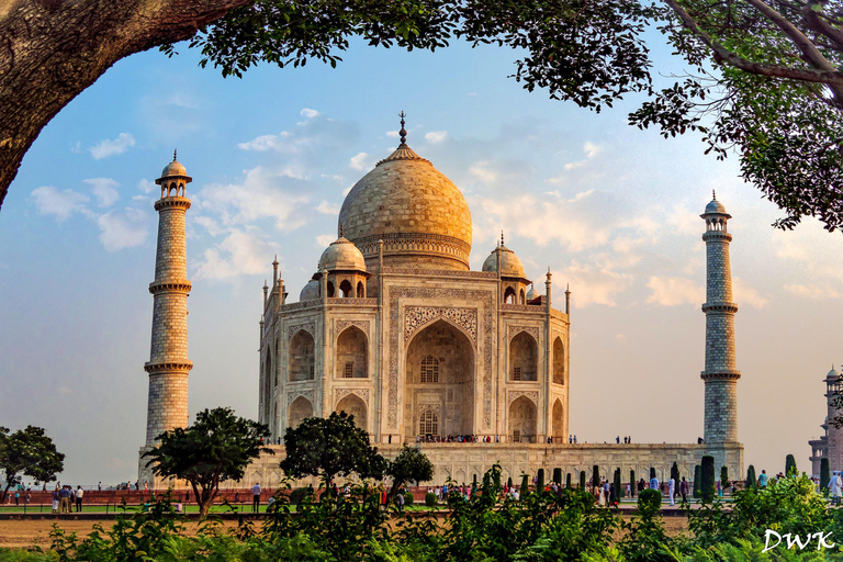 Überspringe die Warteschlange: Sonnenaufgang Taj Mahal & Agra Tour von JaipurAuto+Fahrer+Führer+Mittagessen+Eintrittsgebühr