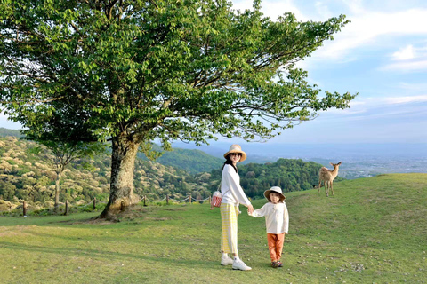 Nara: Secret Photo Tour & Deer Whisperer 3-Hour Private Photoshoot & Deer Interaction