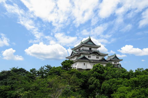 Wakayama: Bus Private Tour with Guide and Unlimited Ride