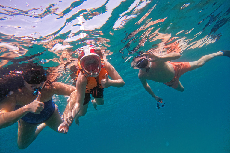 De Dubai: Snorkeling em Fujairah com tartarugas, traslado e churrasco