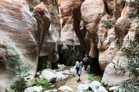 Amman: Dana to Petra 4-Day Trekking Adventure