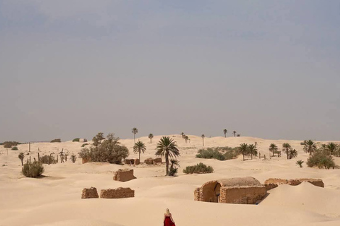 From Djerba: Douz, Matmata Star Wars Sites & local market