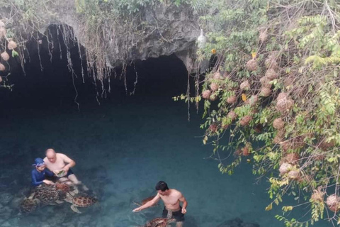 JASKINIA SALAAM: Pływanie z żółwiami i kolacja w restauracji The RockWycieczka obejmuje Odbiór z hotelu i transport powrotny