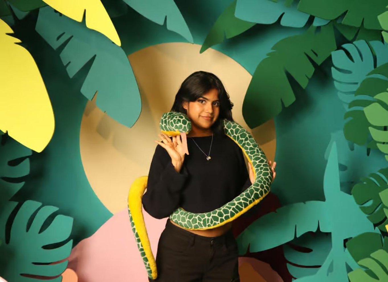 Montreal: Entrébillet til Imaginarium-museet