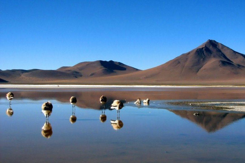 Jedna droga do Salar de Uyuni i kolorowych lagun