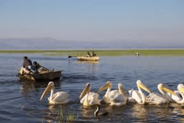 7-Day Omro Valley Tour Itinerary