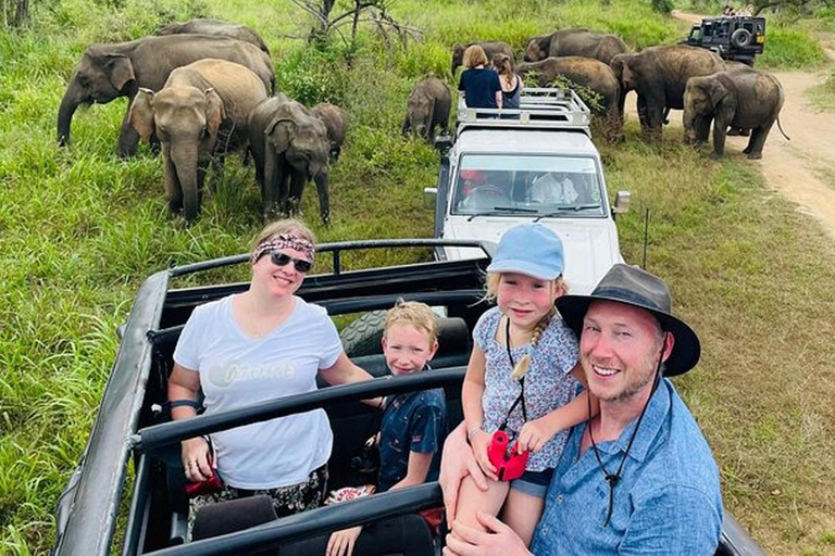 Pasikuda: Polonnaruwa Ruins & Hurulu Eco Park Safari Without Ticket