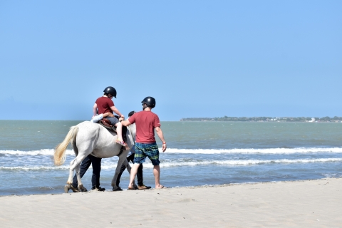 Cartagena: Jazda konna na plaży i kolumbijska kultura koni