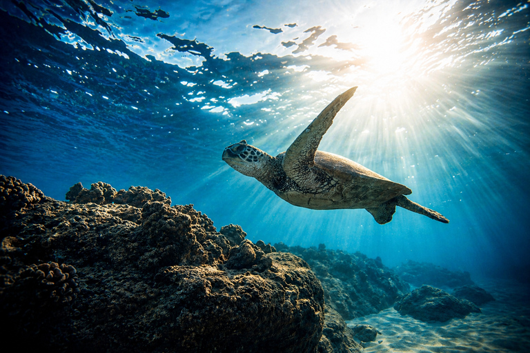 Gili Meno: Private Snorkeling Tour with GoPro Footage