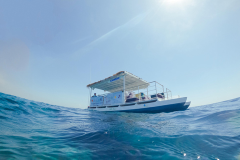 Wyspa Gili: 3 wyspy BBQ Day Cruise Snorkeling Tour