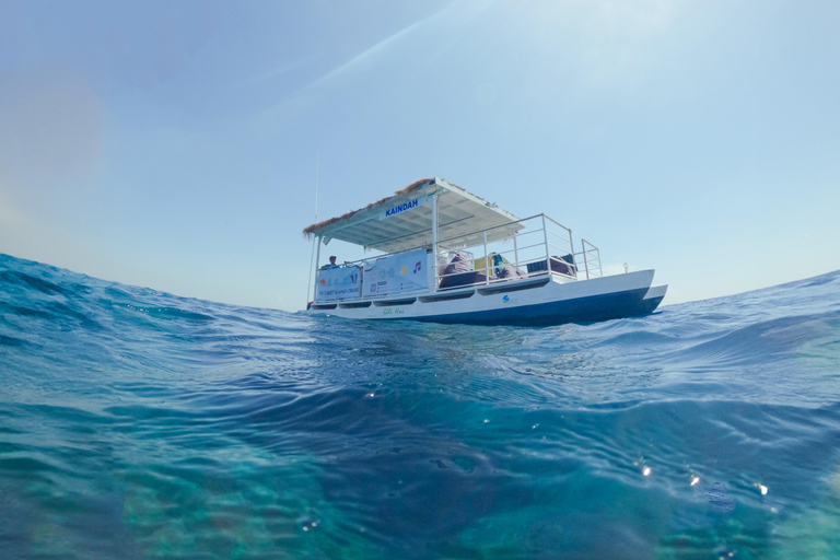 Wyspa Gili: 3 wyspy BBQ Day Cruise Snorkeling Tour