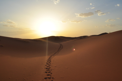 Depuis Agadir/Taghazout : Dunes de sable du Sahara avec transfert