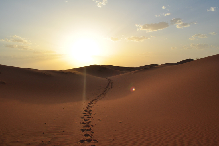 Van Agadir/Taghazout: Sahara-zandduinen met transfer