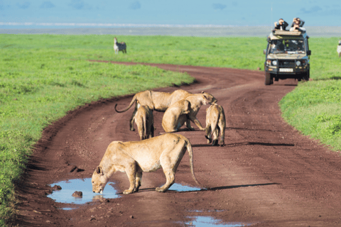 6 Tage bestes Mittelklasse-Safari-Erlebnis in Tansania