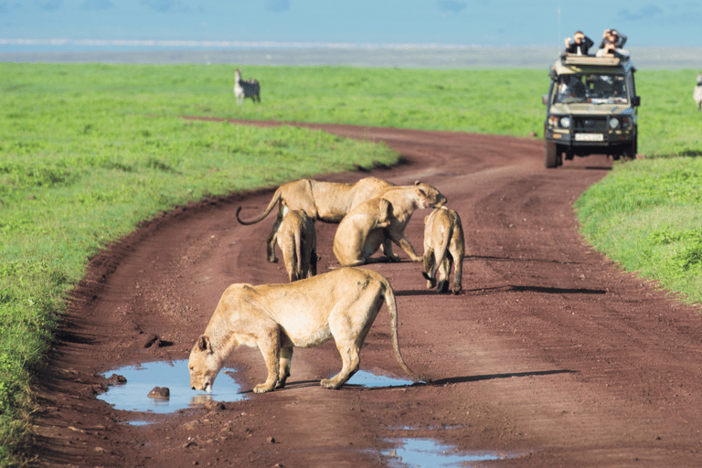 6 Tage bestes Mittelklasse-Safari-Erlebnis in Tansania