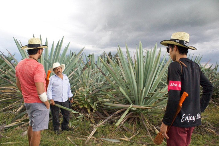 Oaxaca Sierra Norte MTB Tour: Descend, Textiles & Mezcal