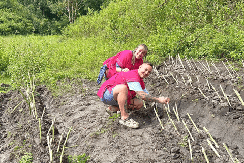 Chiang Mai: Día Completo Santuario Ético de Elefantes y Cascada